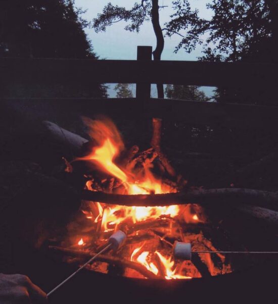 Feu de camp et chamallow.